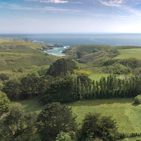 La côte sauvage à Calastren, Belle-Île, l'atelier Bleu Belle-Île
