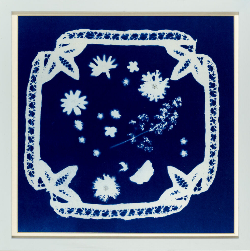 Fleurs et Dentelles ancienne, Belle-Ile-en-Mer, Cyanotype
